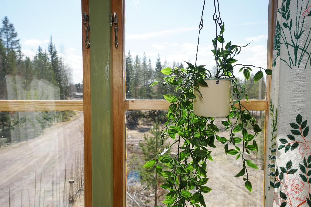Mittjas Vallen Timber Lodge & Cabins Edsbyn Kültér fotó